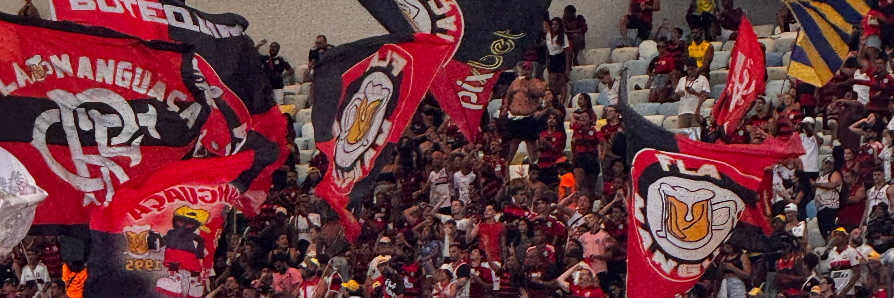 goncalvespedro 
