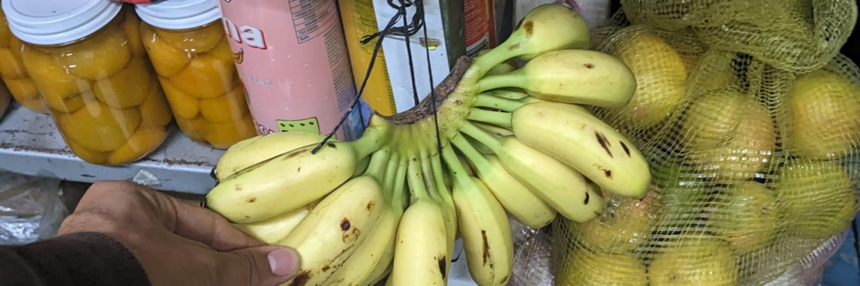 Bananas