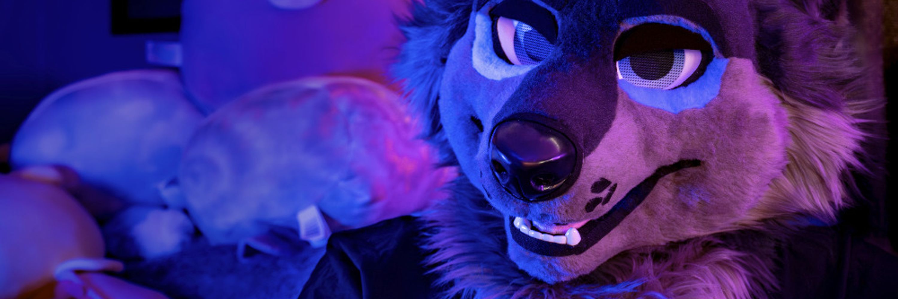 Ku @ FWA