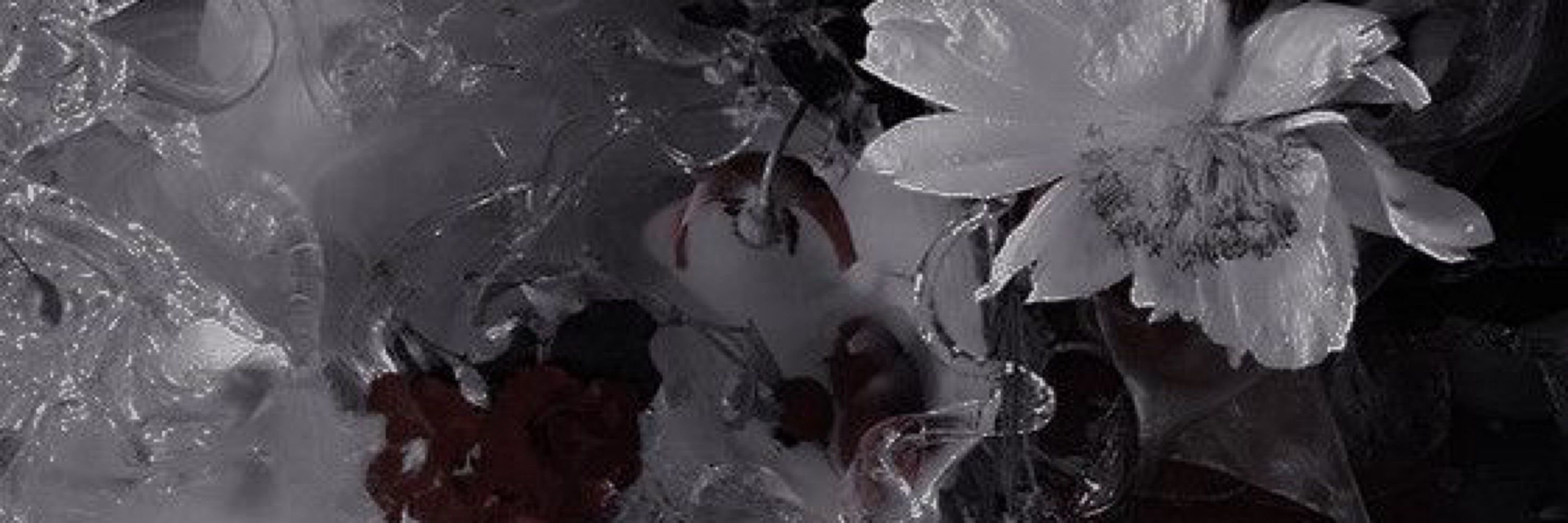 𝗦𝗔𝗞𝗨𝗥𝗔𝗭𝗔𝗞𝗔 ˚ 🦢₊✧