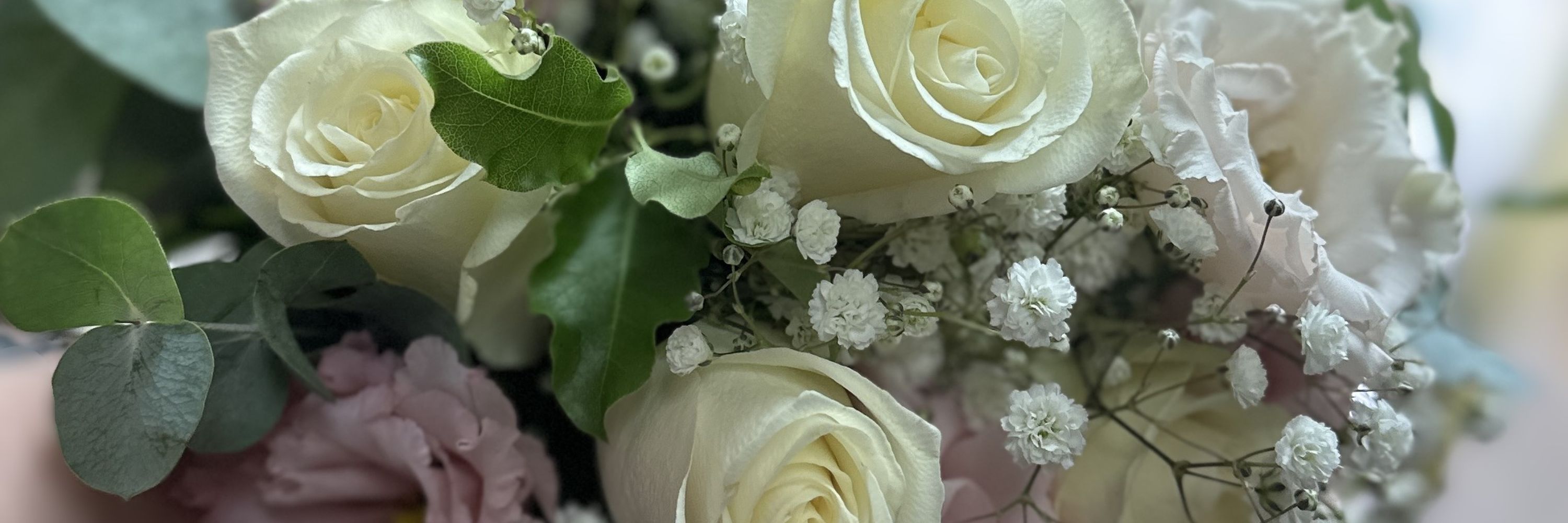 Flowers by Moonstones
