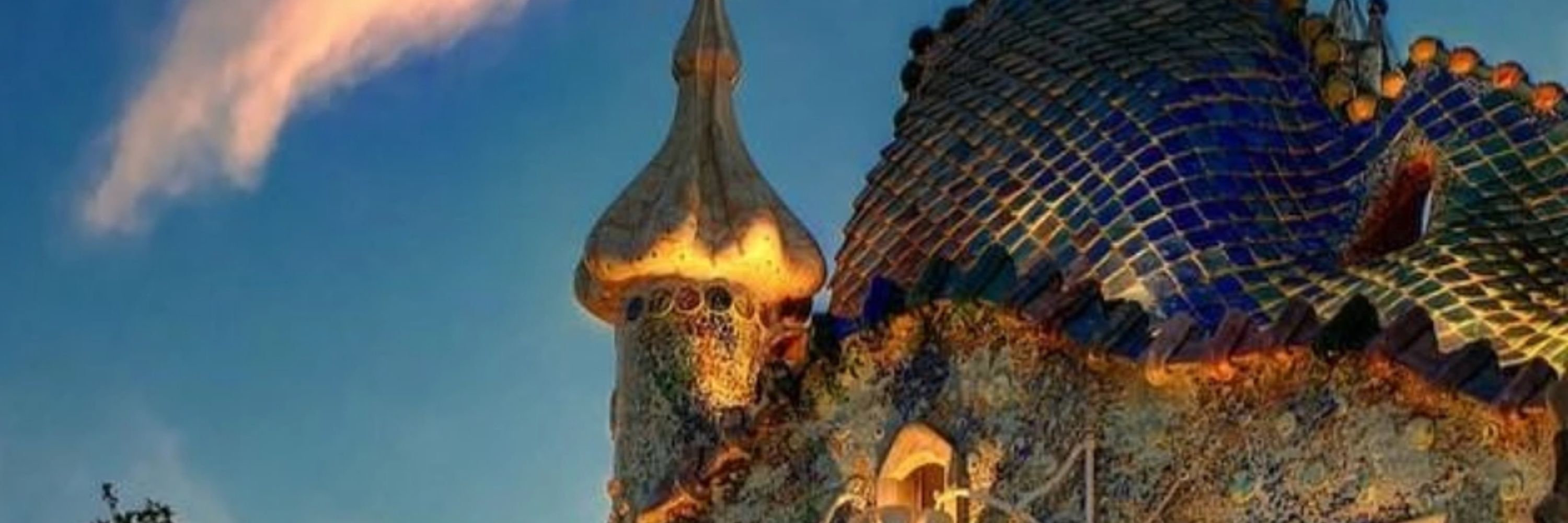 circulusbcn