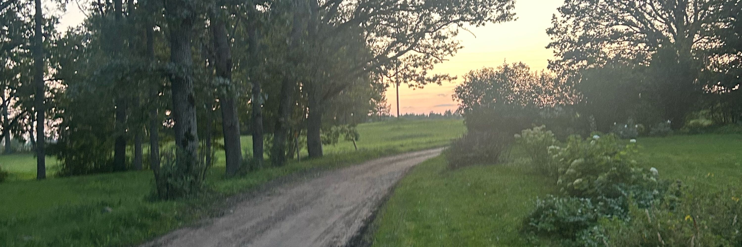 Gunta Sloga