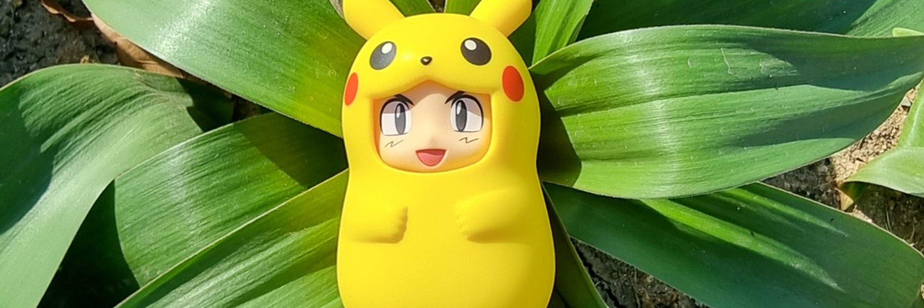 Oisoback