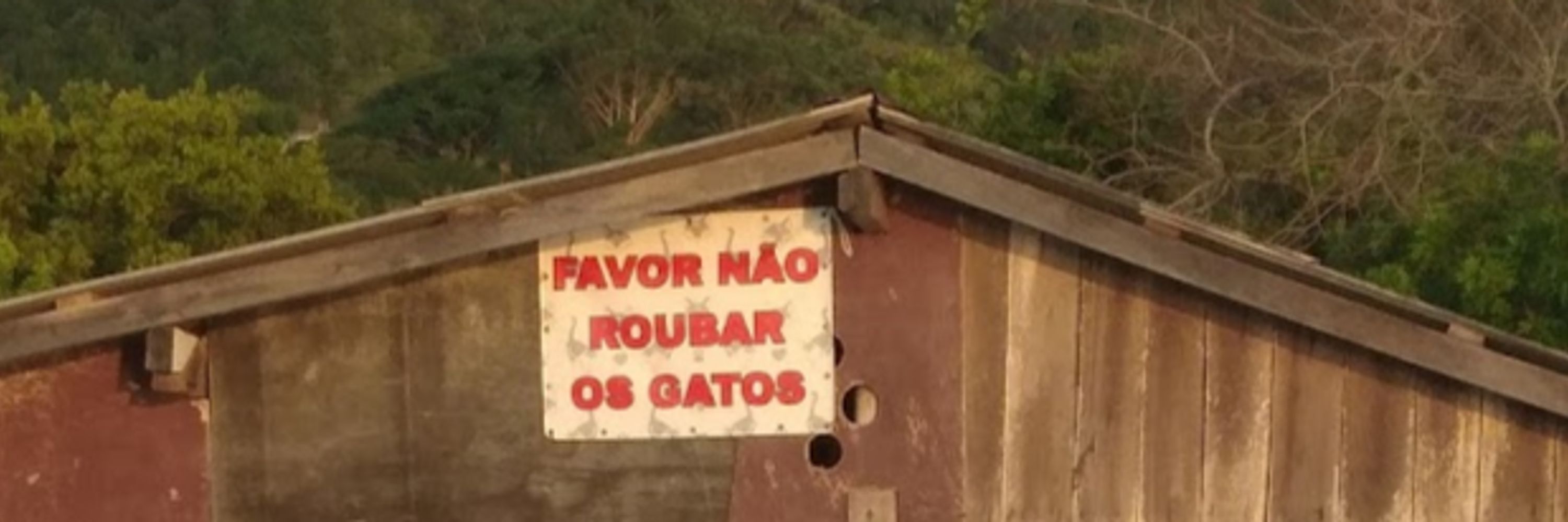 Lisângelo ❤️❌🤖