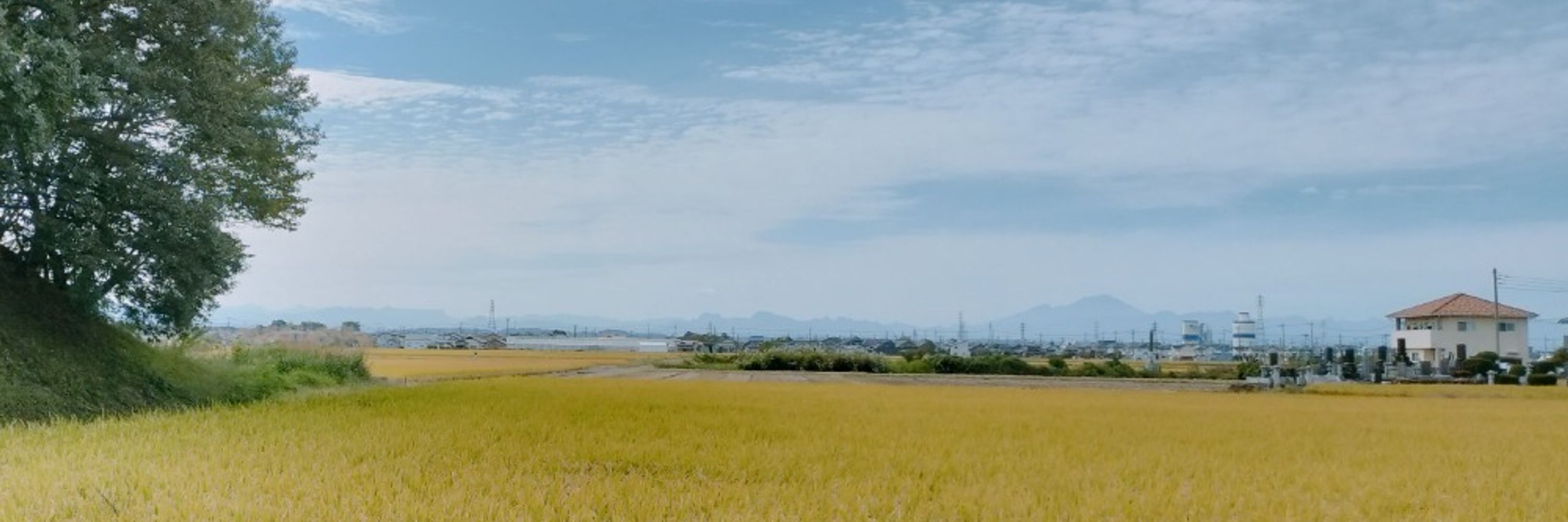 U子