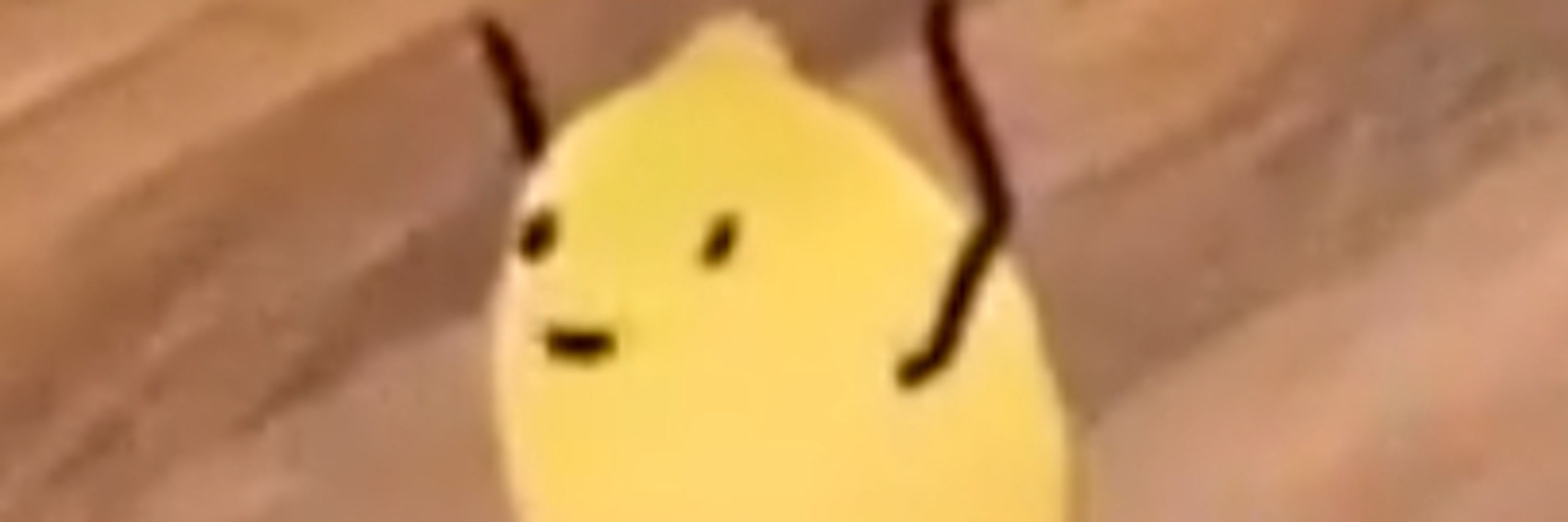 Koof