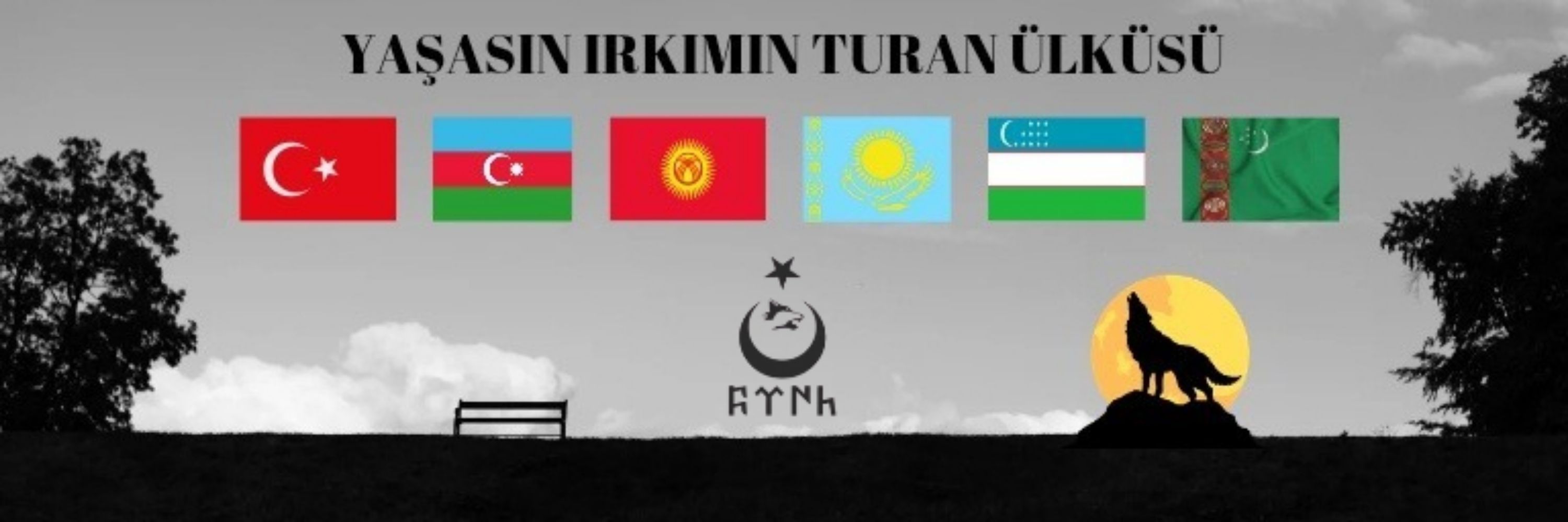 Elifru TURAN