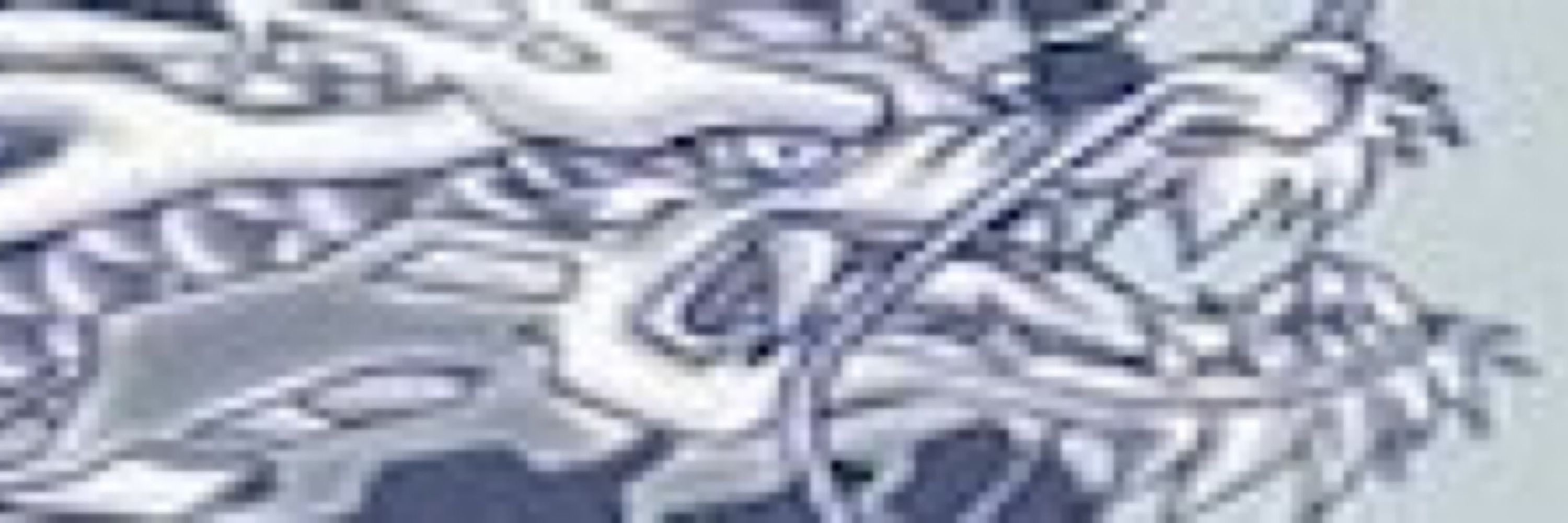 Axiro (ah-ji-ro)