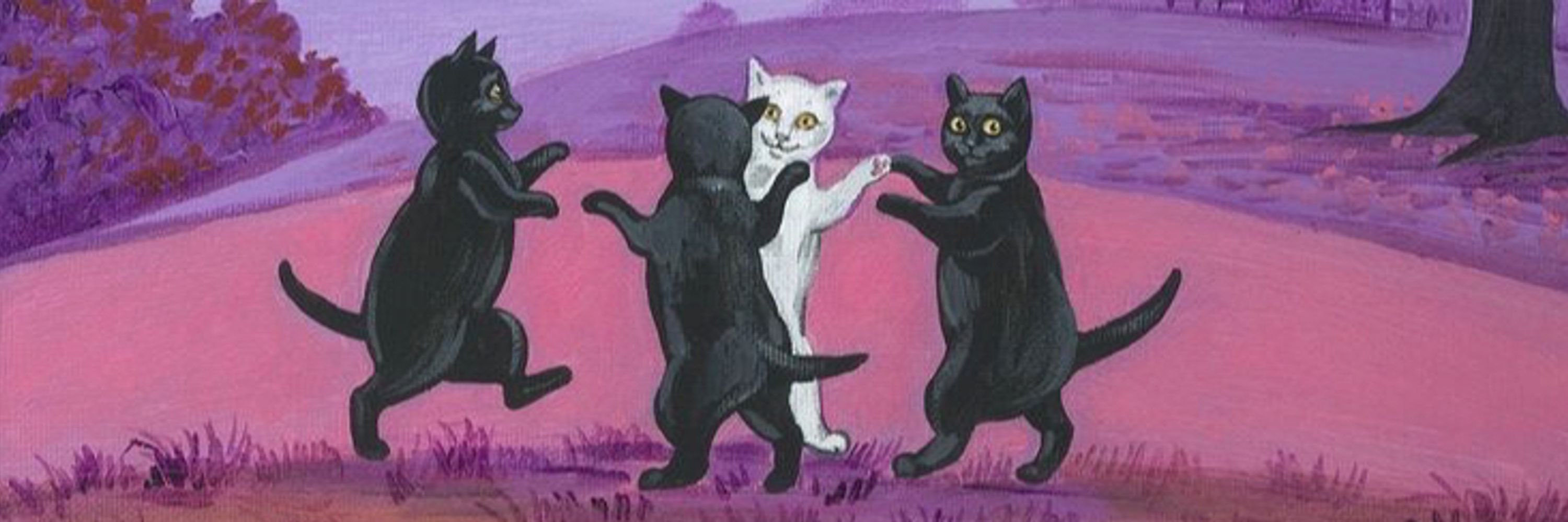 bimbo kitty