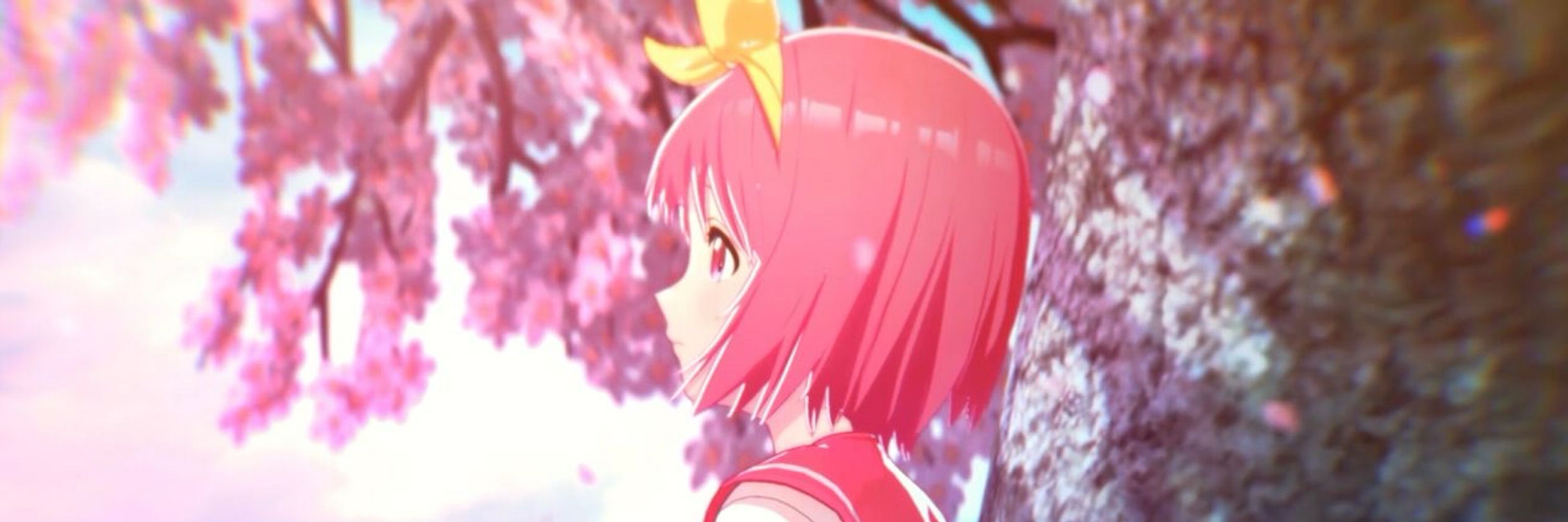 Dev