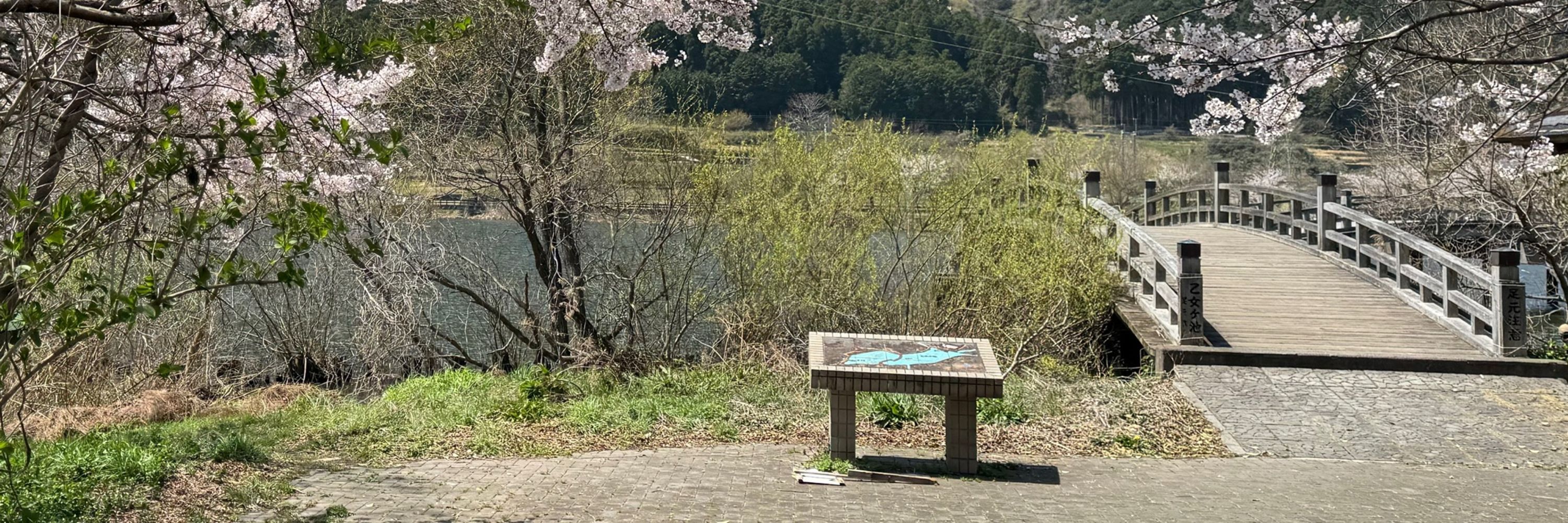 裏鮪麩