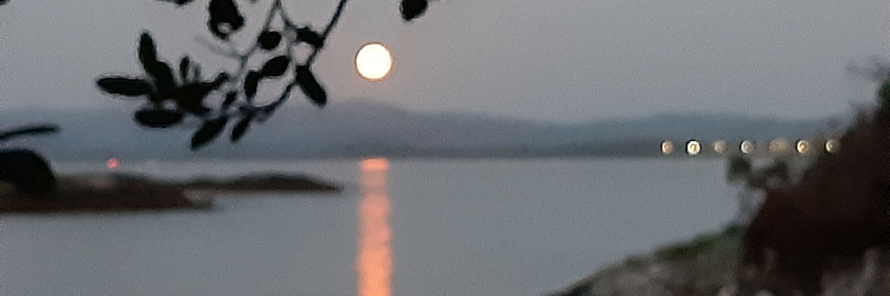 Ó Scolaidhe Aodh