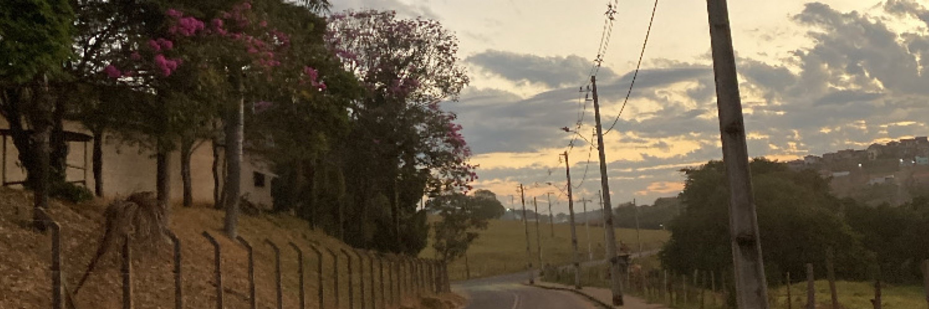 Antissocial extrovertida