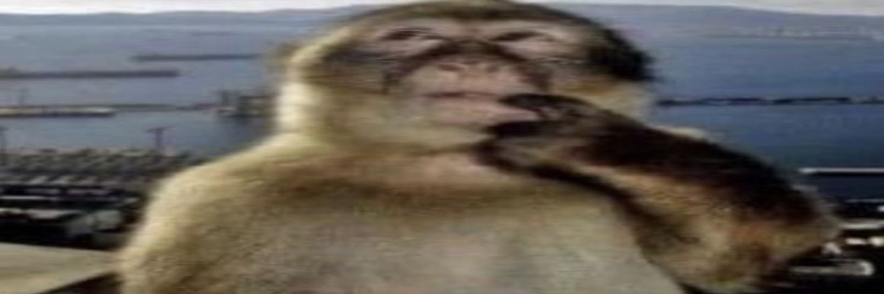 rik
