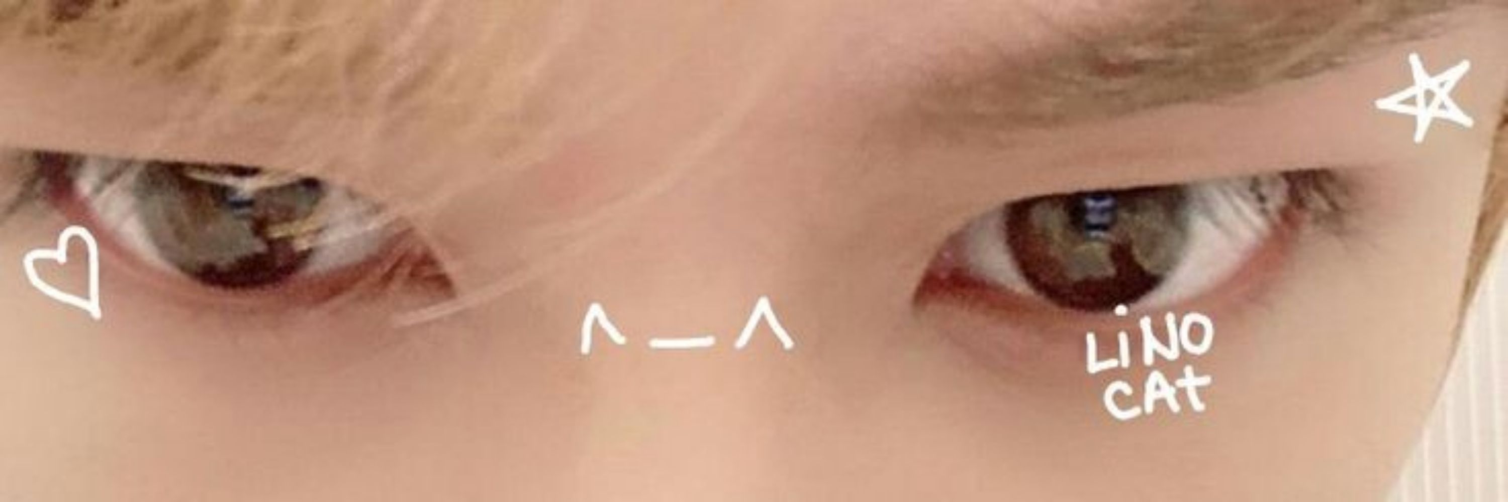 ⋆aninha⋆ˡⁱˣ!🥠