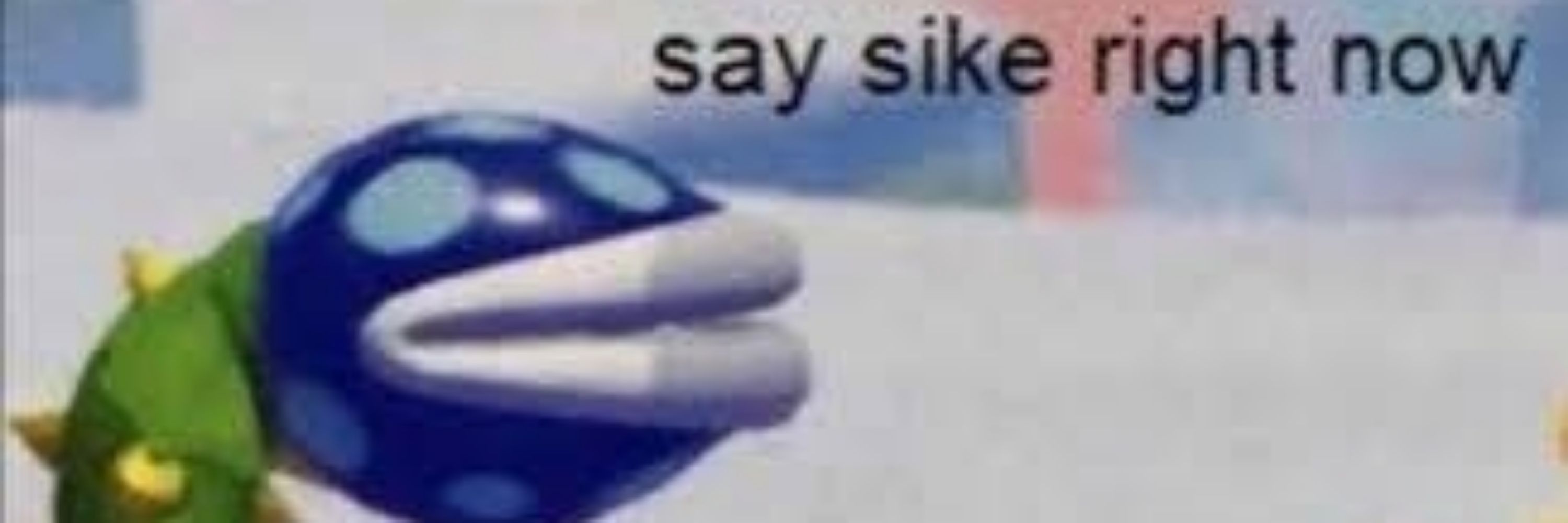Is that a fucking snail