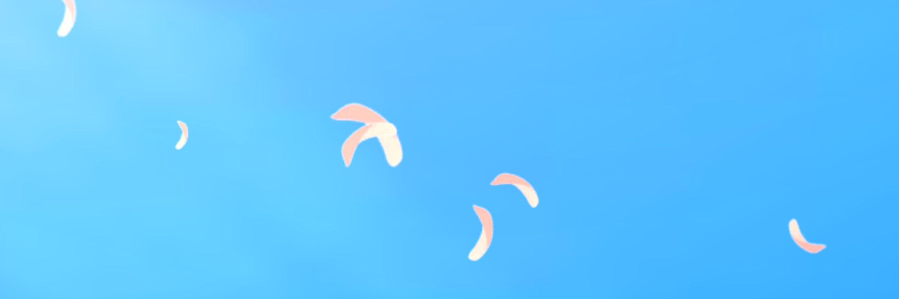 夜贈り