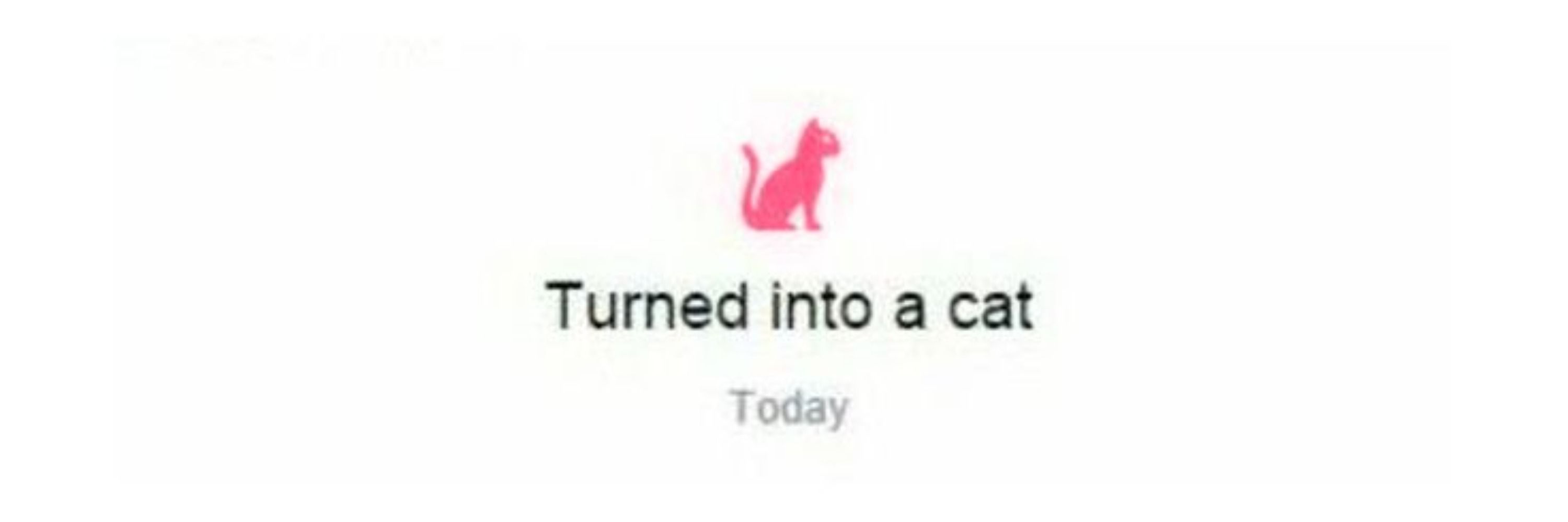 Tim 🐈‍⬛