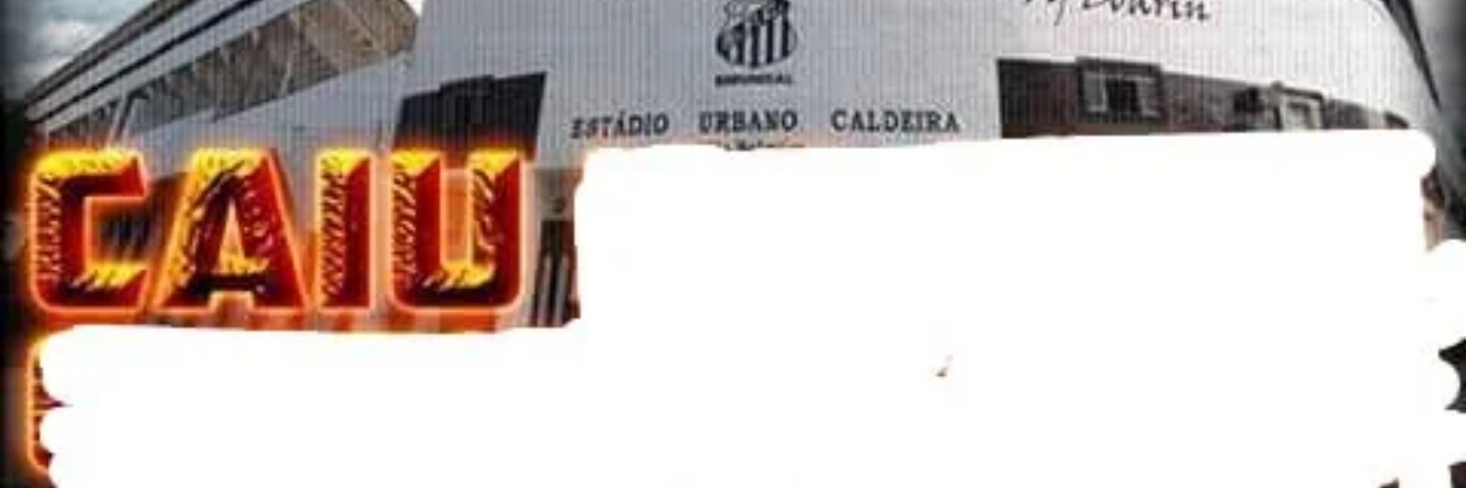 Carlos 🟥⬛🐓🦊🔵🦅🐷🇳🇬 🇦🇹 🇪🇪 ◤✠◢ ★彡 