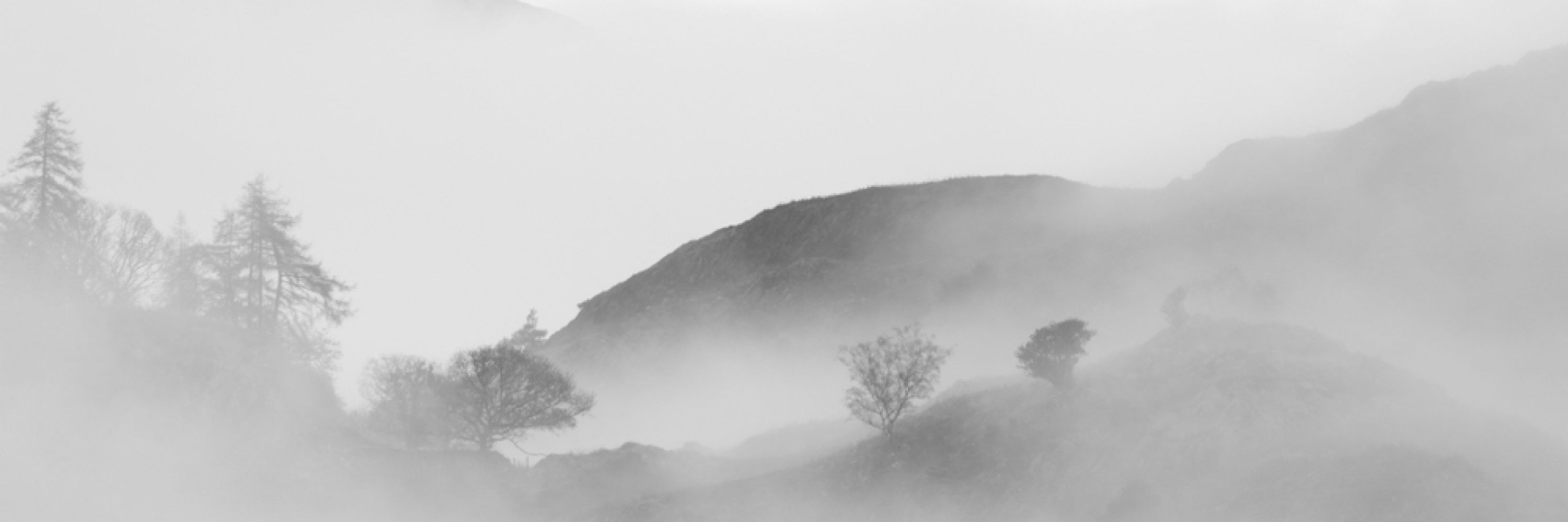 Euan Ross