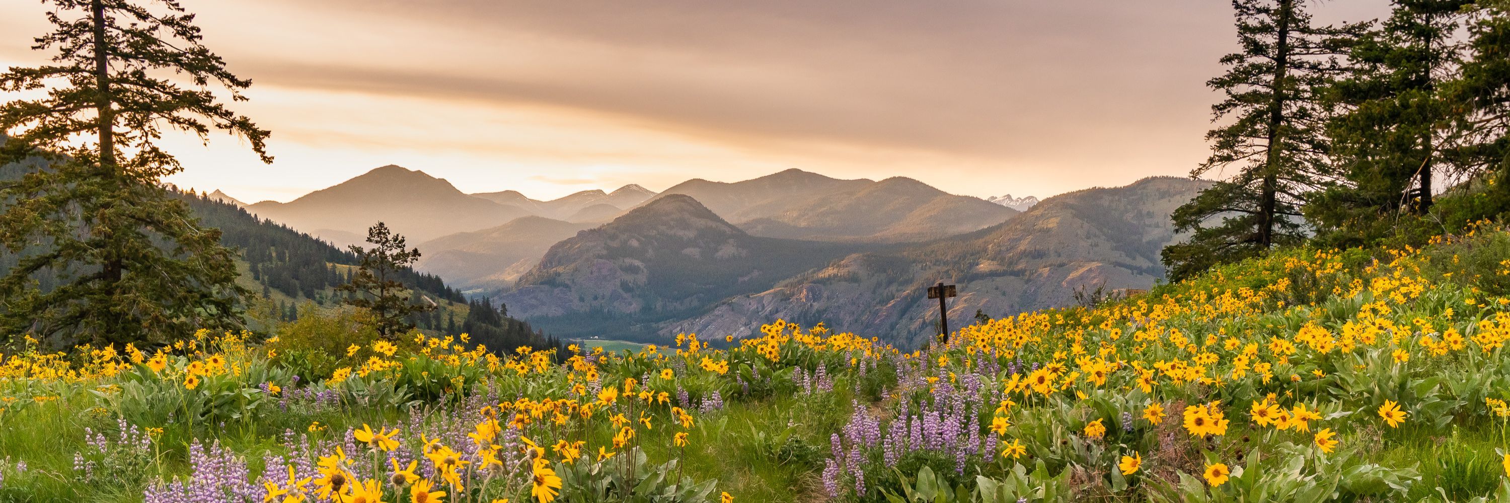 Washington Trails Association