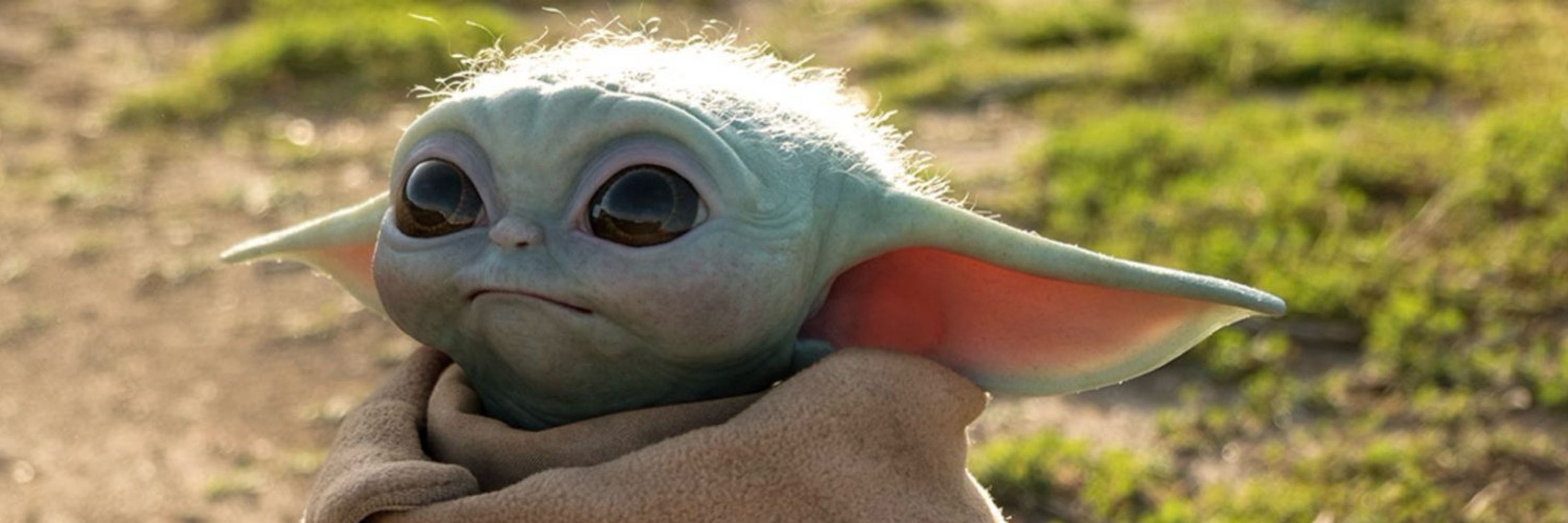 Yoda