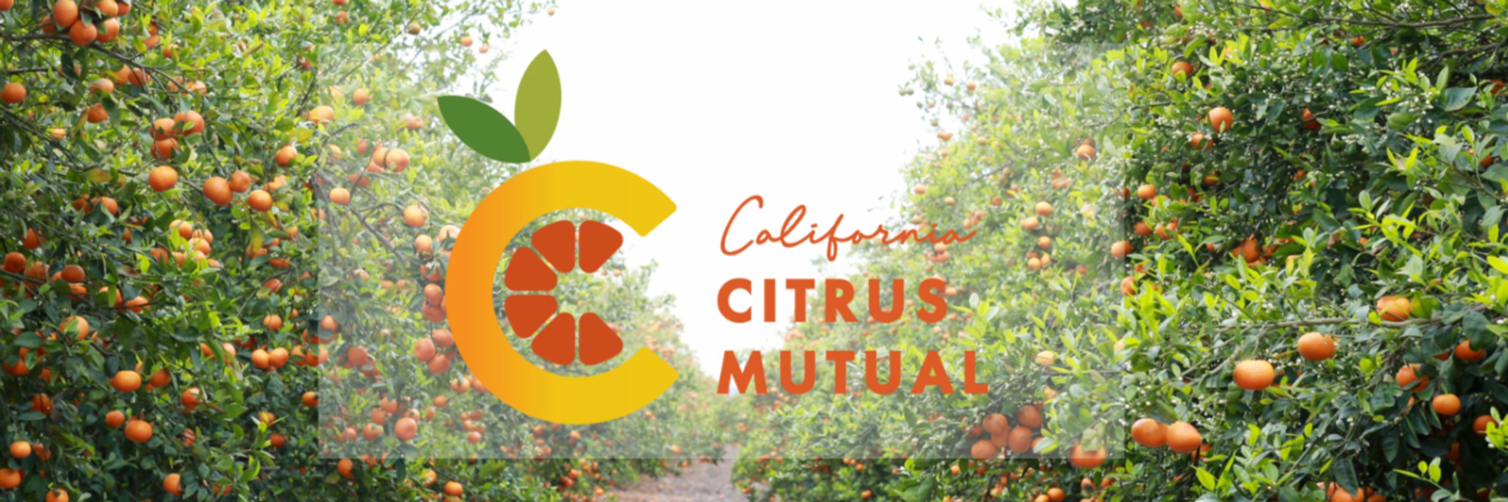 California Citrus Mutual