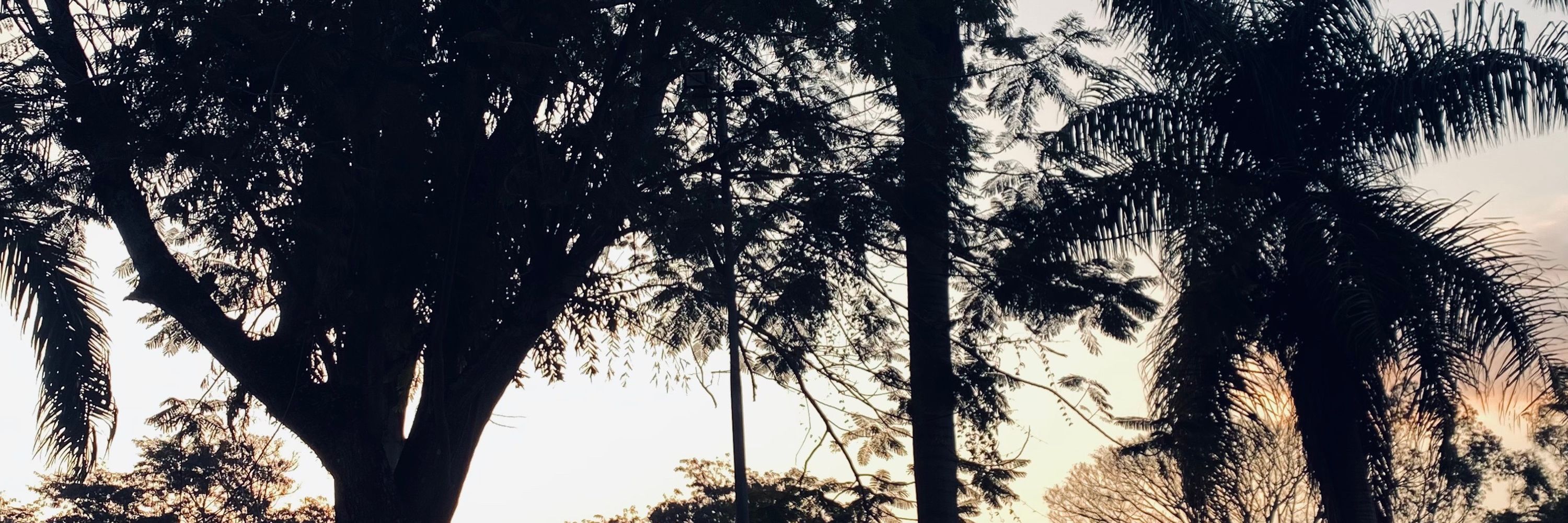 cg🧚🏼‍♀️