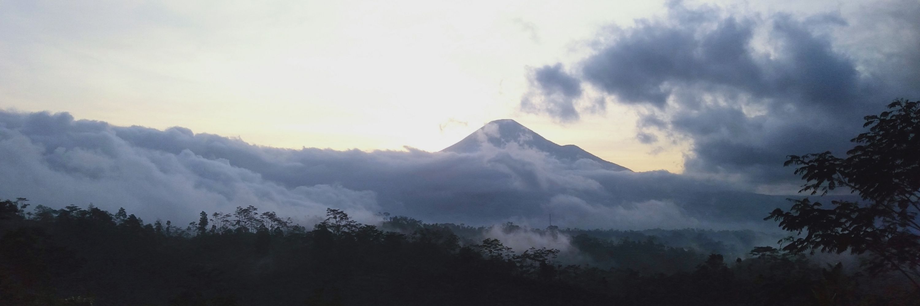 Dirandra