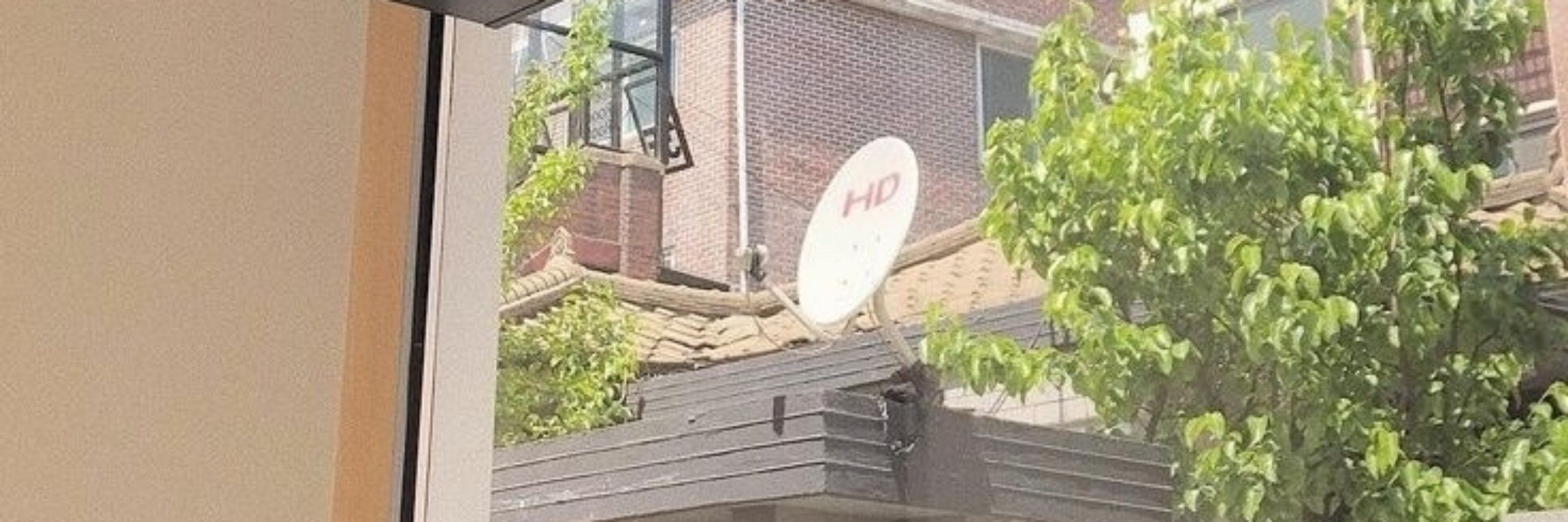 𝒞ჩα𝗋