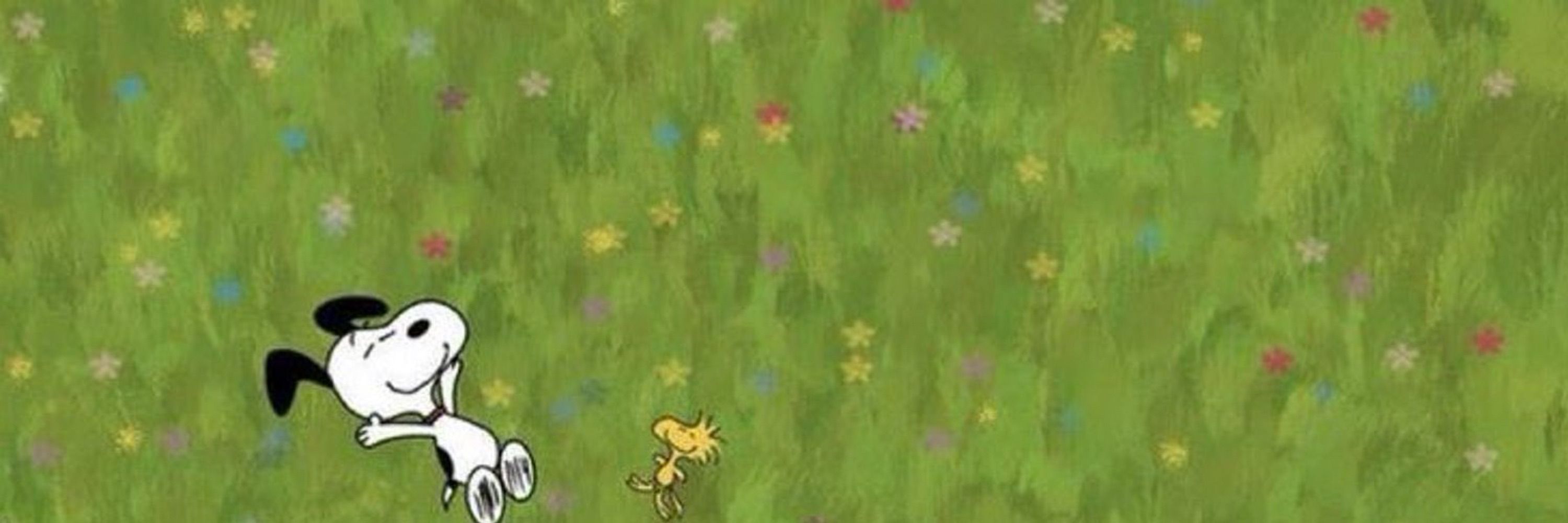 snoopy ⸆⸉ ོ ¹ᴰ | TAYCOUVER N2