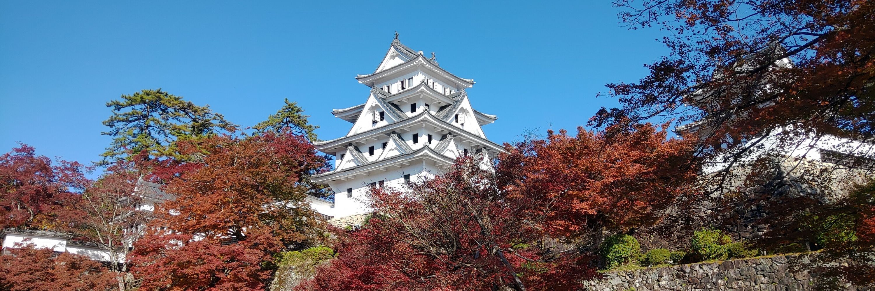 黒色矮星白井