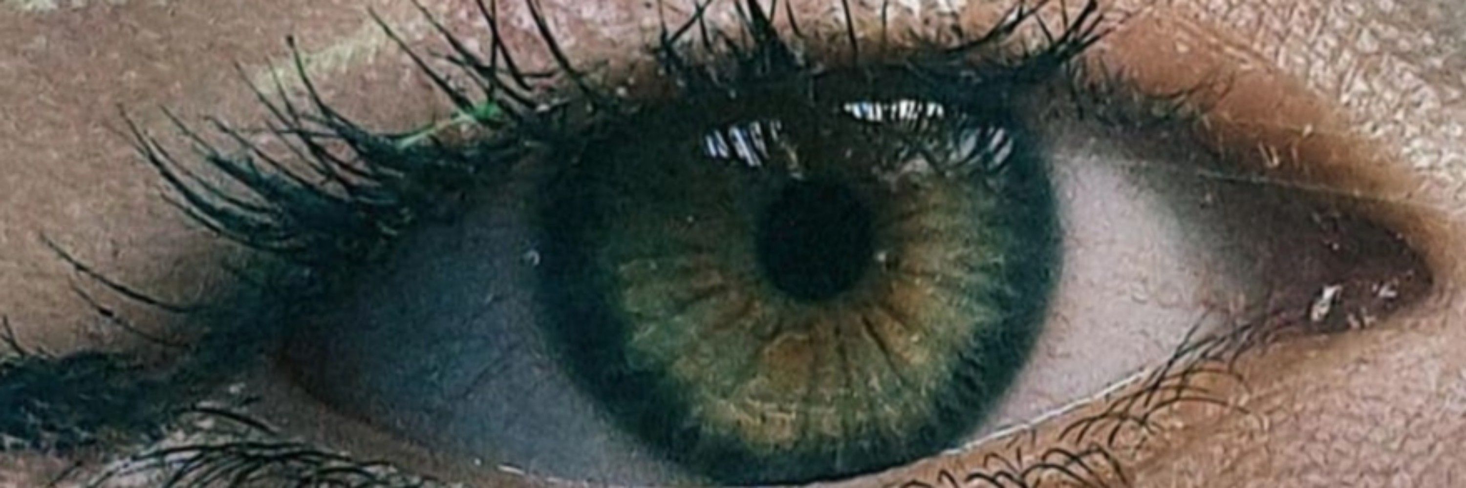 apollozinho