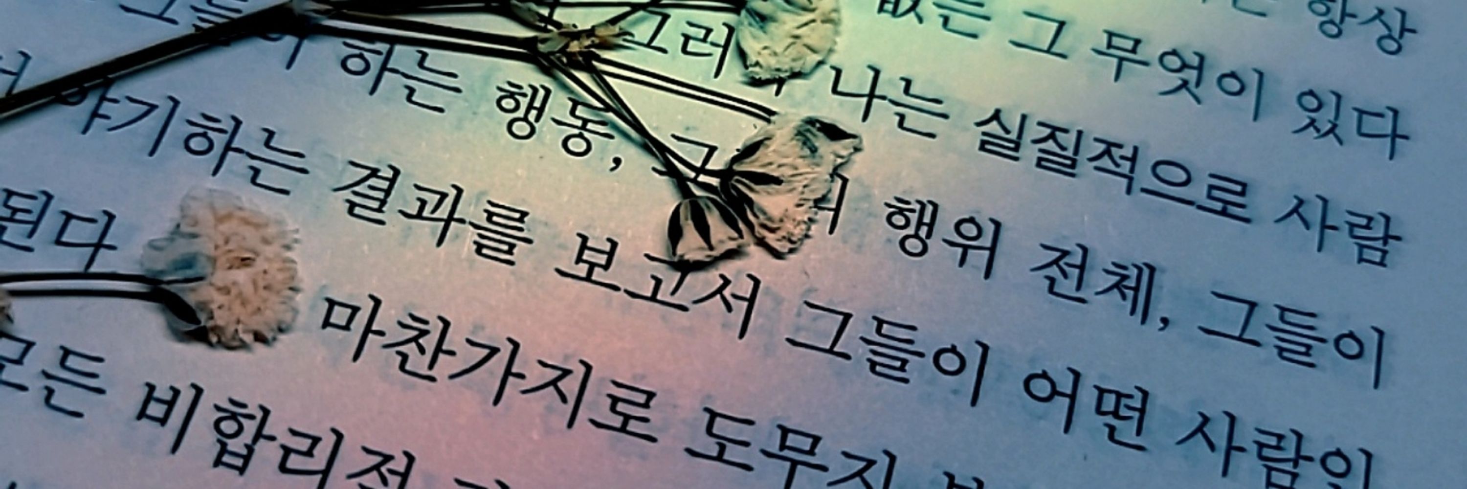 🐋고래🐋