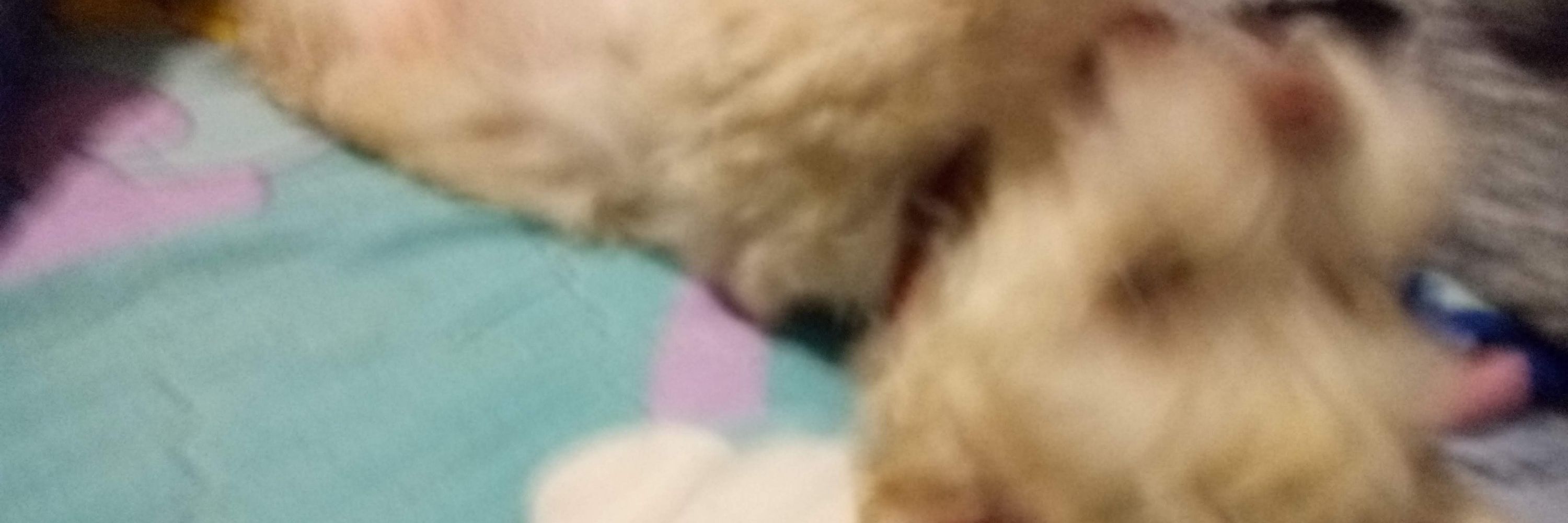 Lu