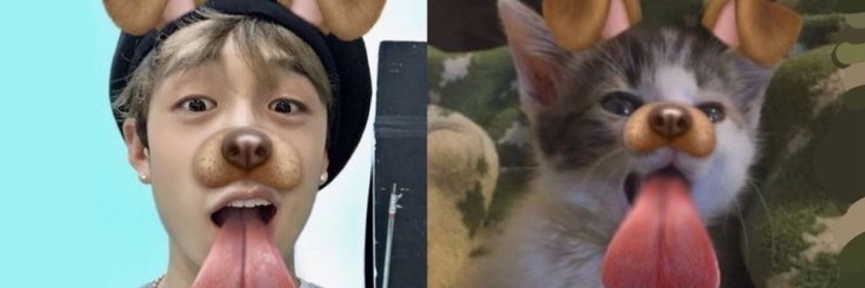 meowmeow