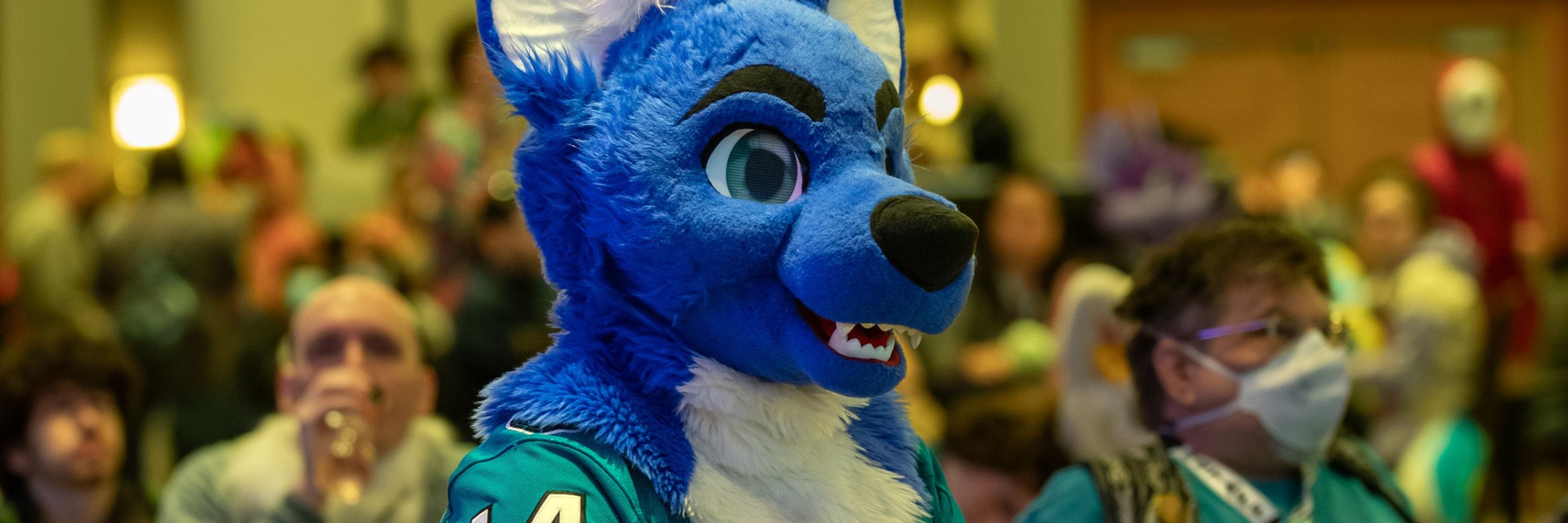 Flash Hound @ FWA 2025