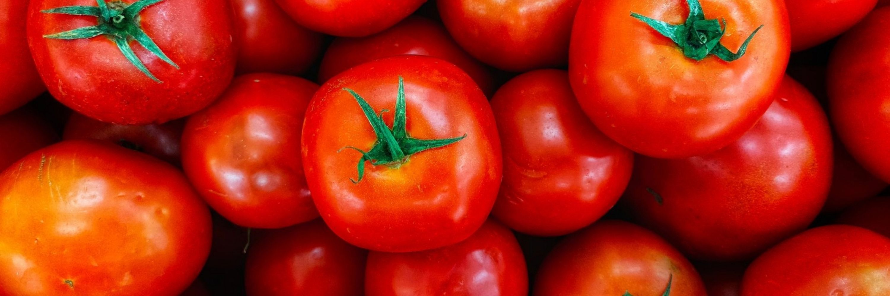 matomai 🍅