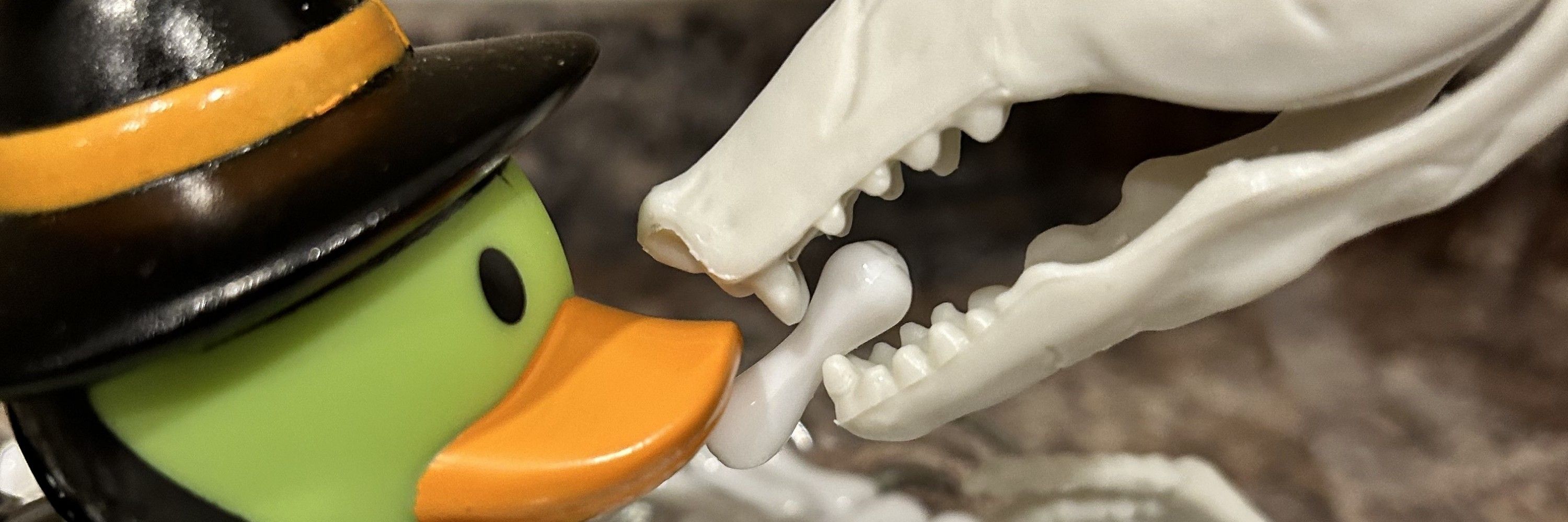 Witchduckter