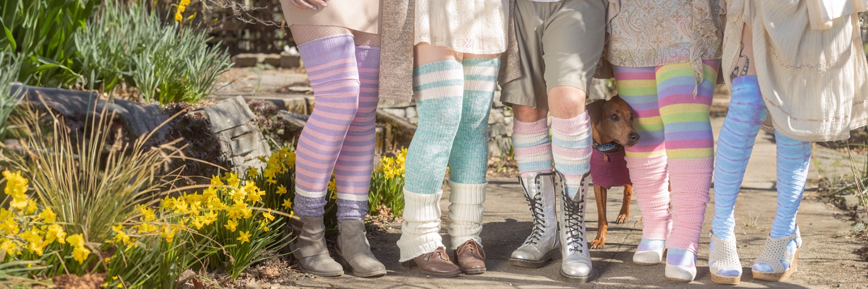 Sock Dreams
