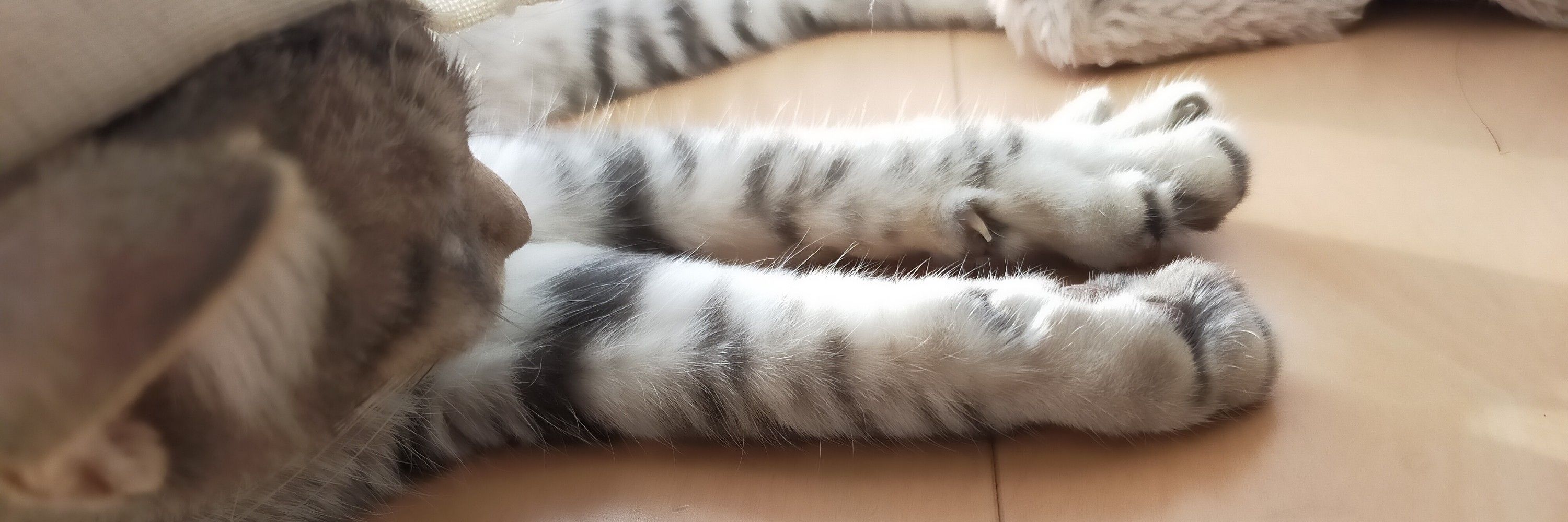 kaechan