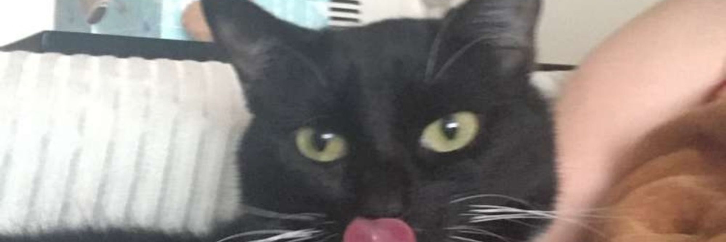 Laura