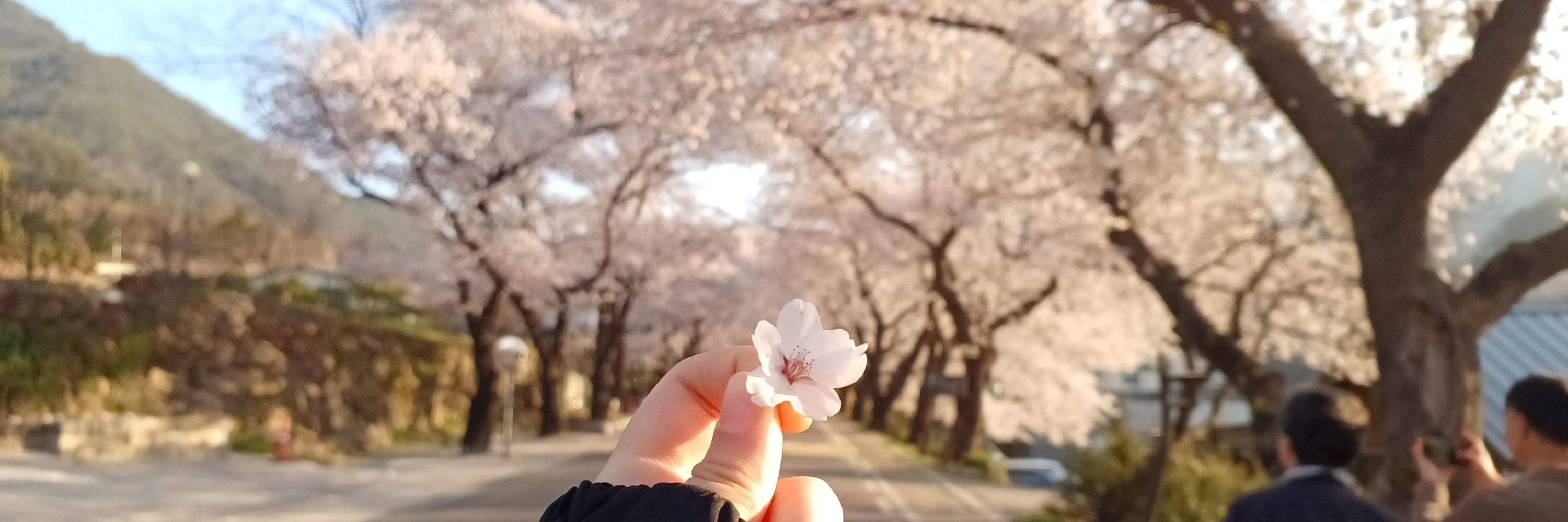 🌾줄미