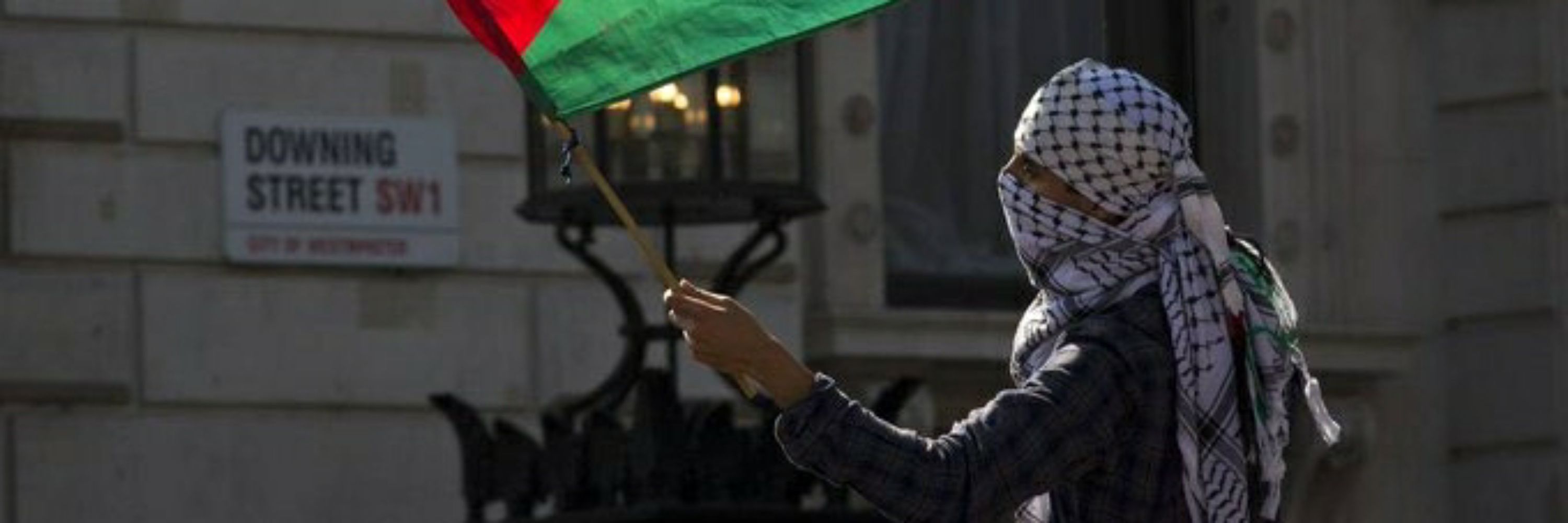 Ibraheem Abdalaziz from Gaza🇵🇸