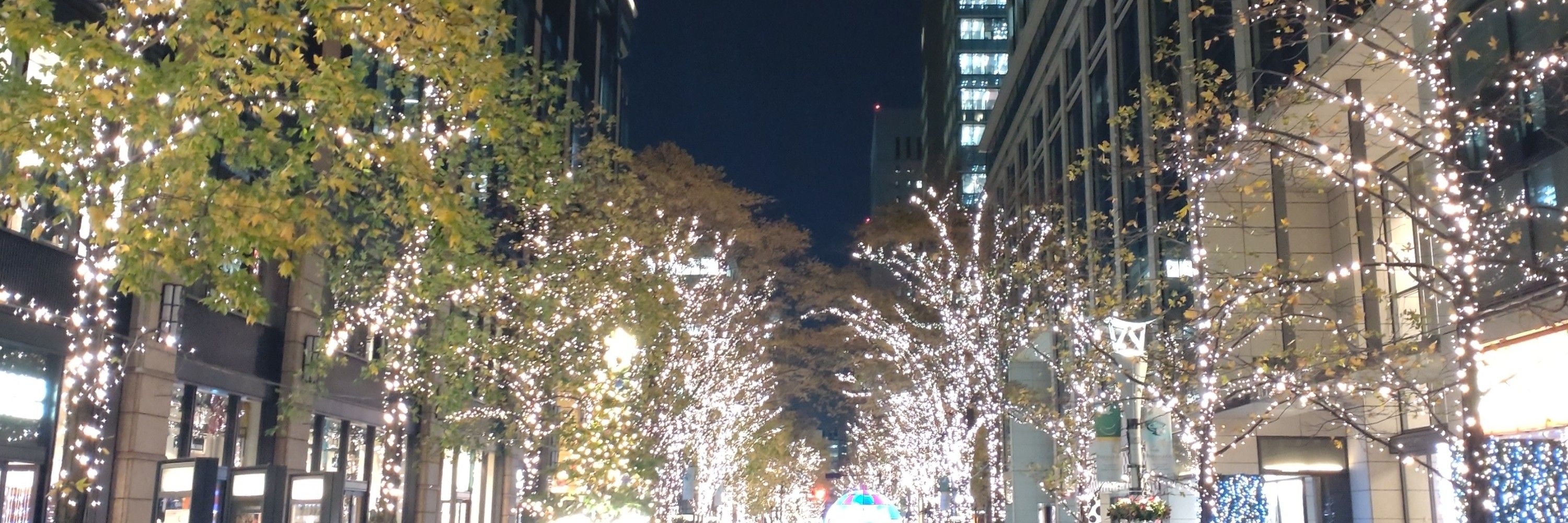 ますたー