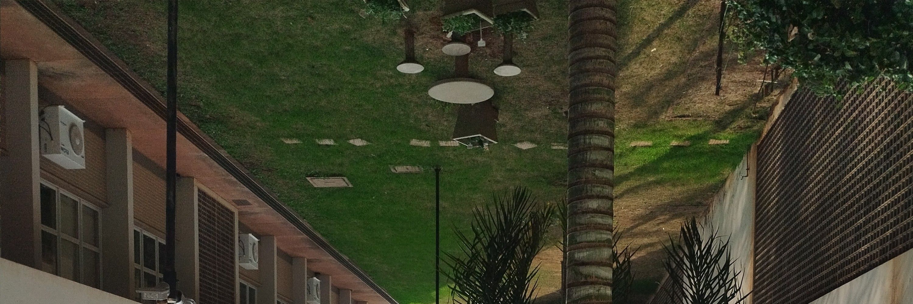 Cascão 