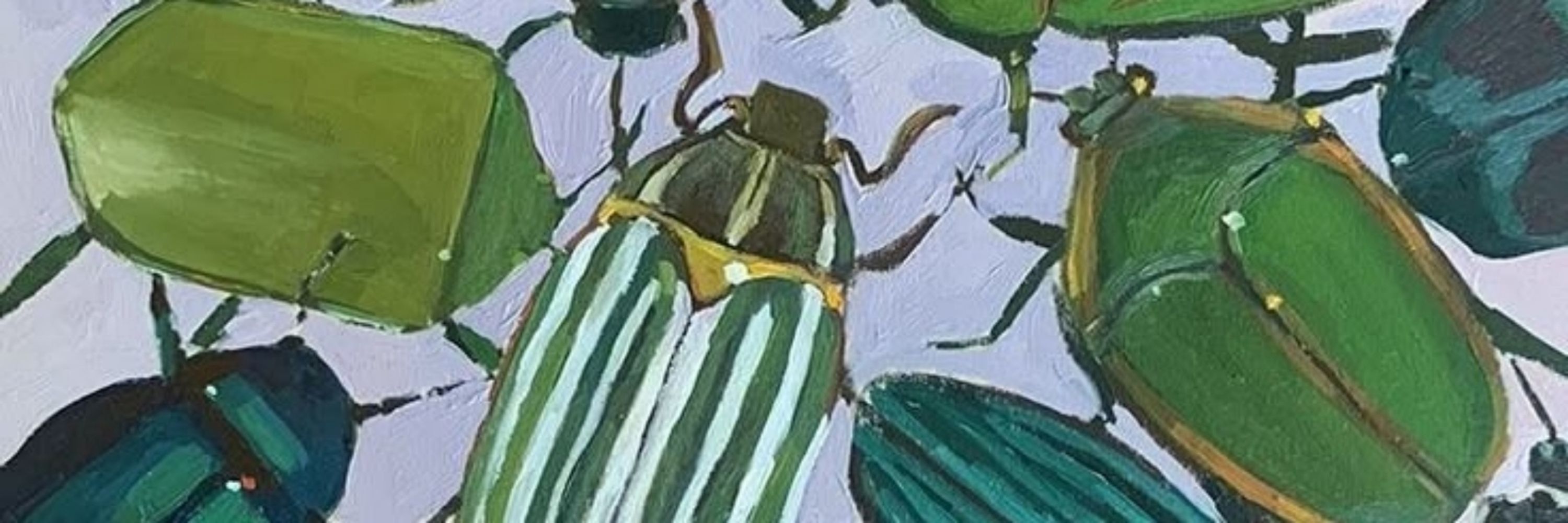 🌿bugboyFoster🪲