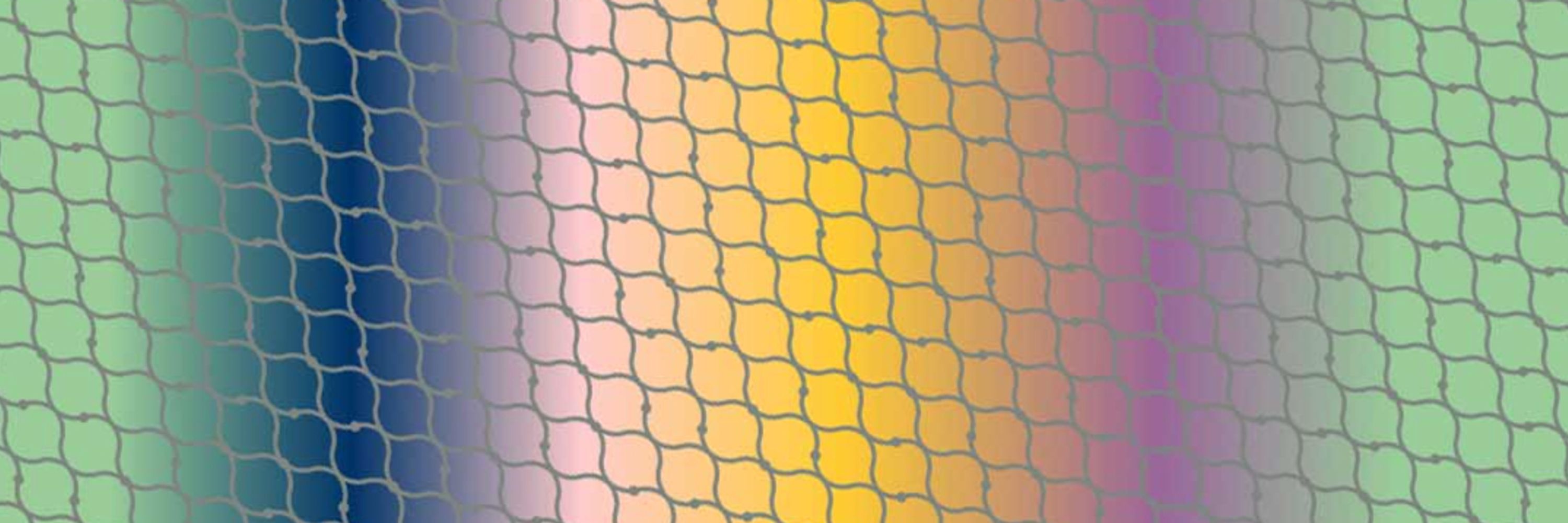 Genoplasticity | Genoplasticidad
