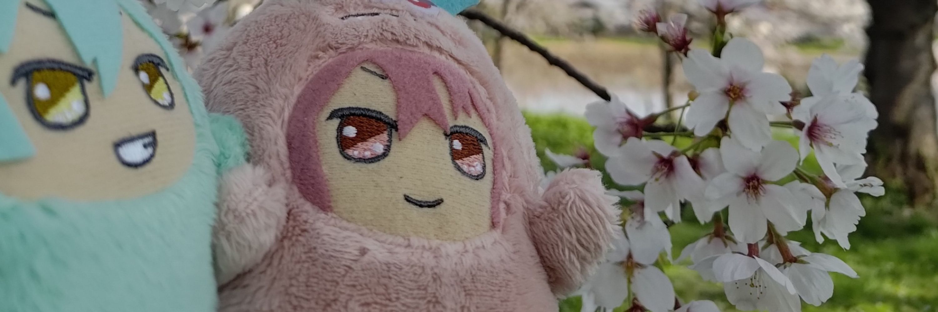 たろいも